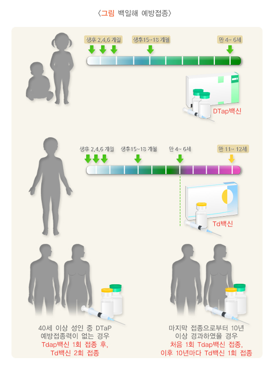 예방접종 시기