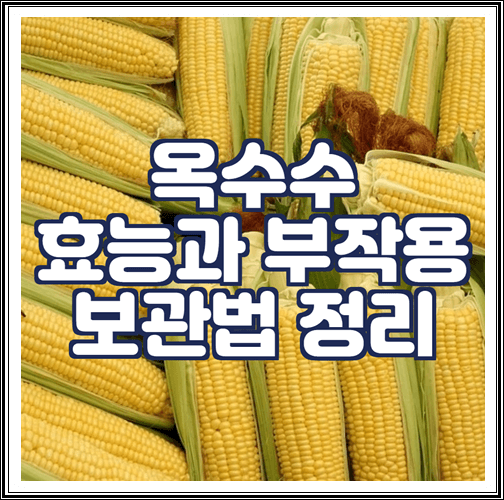  옥수수 효능과 부작용, 보관법 정리