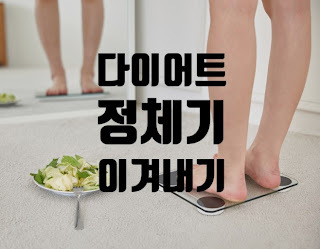  다이어트 - 다이어트 정체기