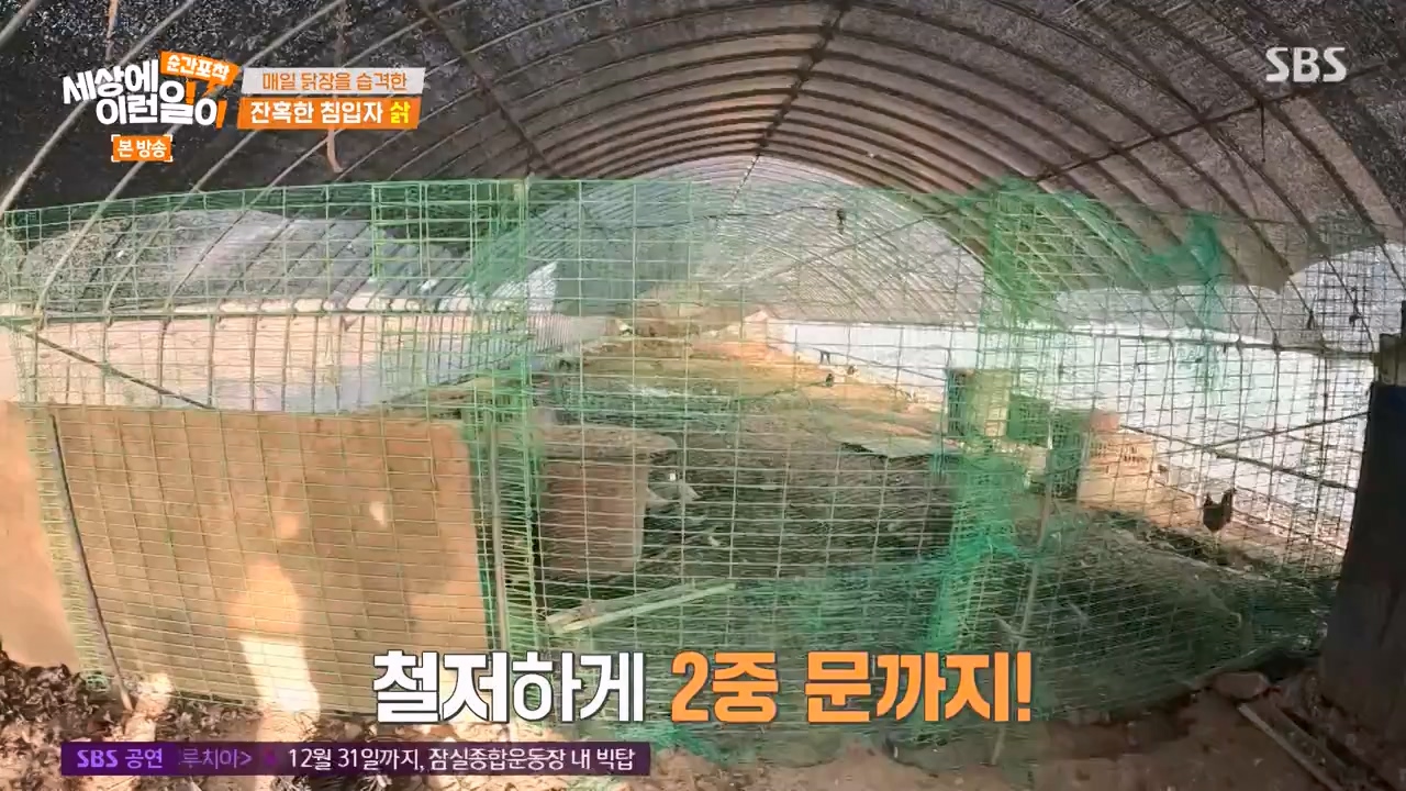 순간포착 세상에 이런일이.E1257.231224p-NEXT.mp4_20231224_180237.491.jpg