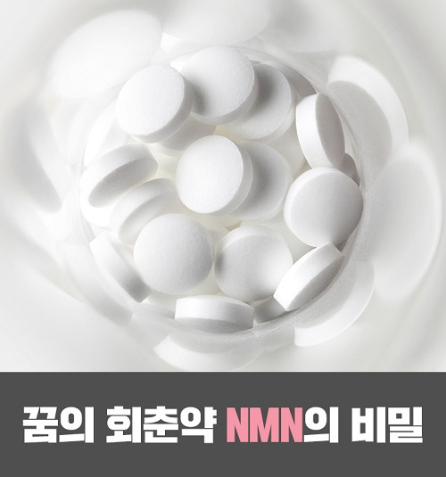 회춘 이미지