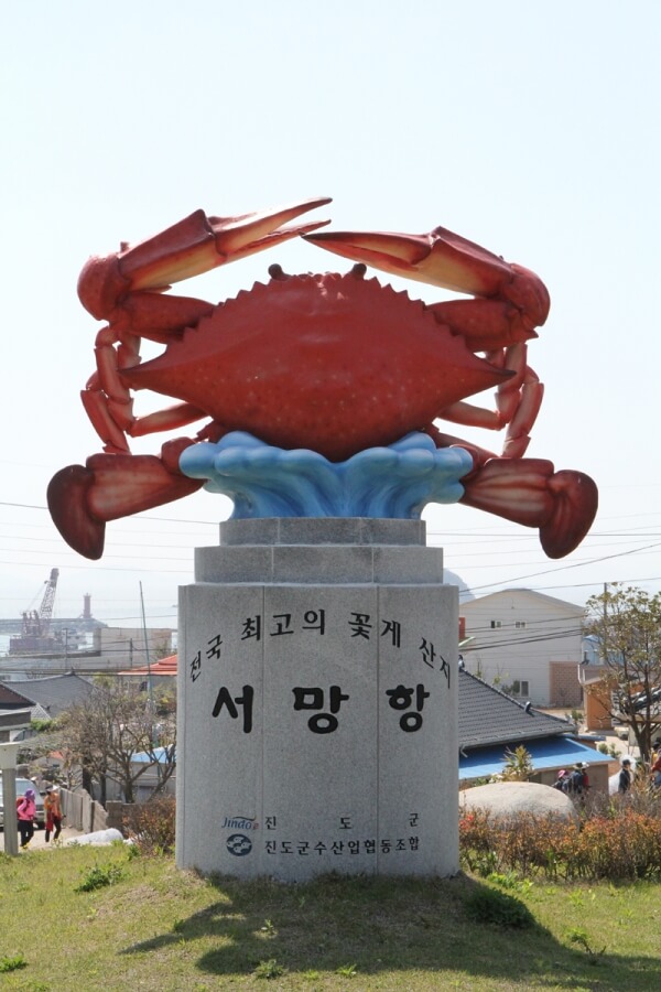 극한직업 진도 꽃게 택배 주문하기 