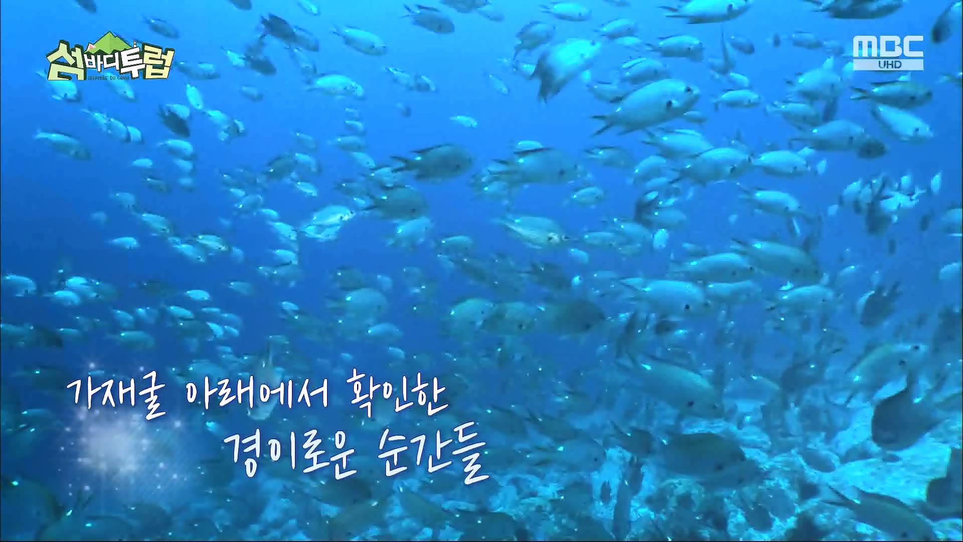 특선 다큐 섬바디투럽.E01.240531.MP4V0P.mp4_20240602_145719.507.jpg