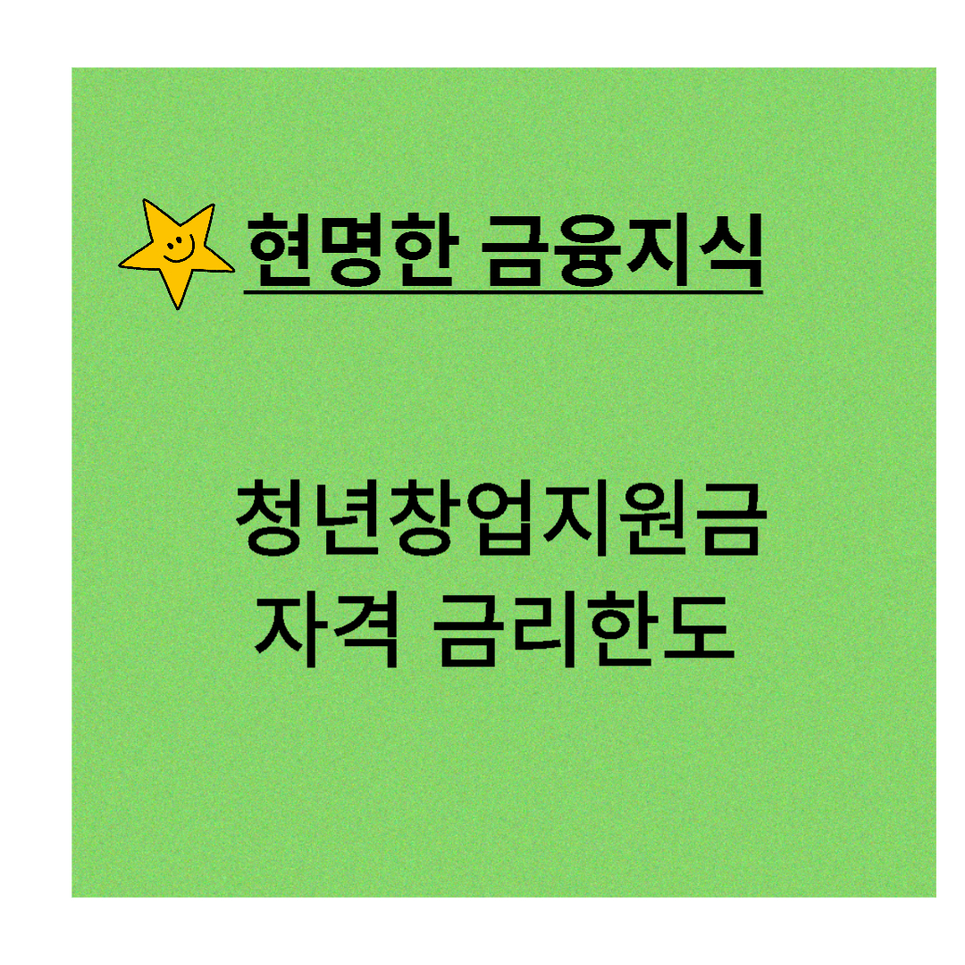 청년창업지원금