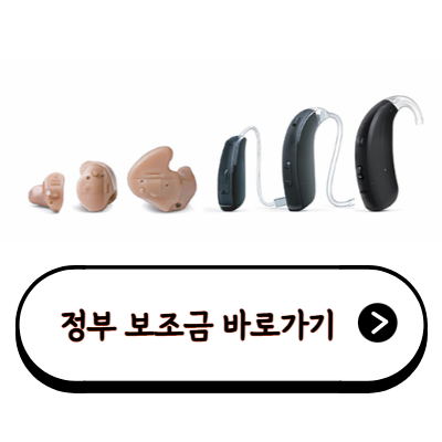 this is 보청기 정부보조금