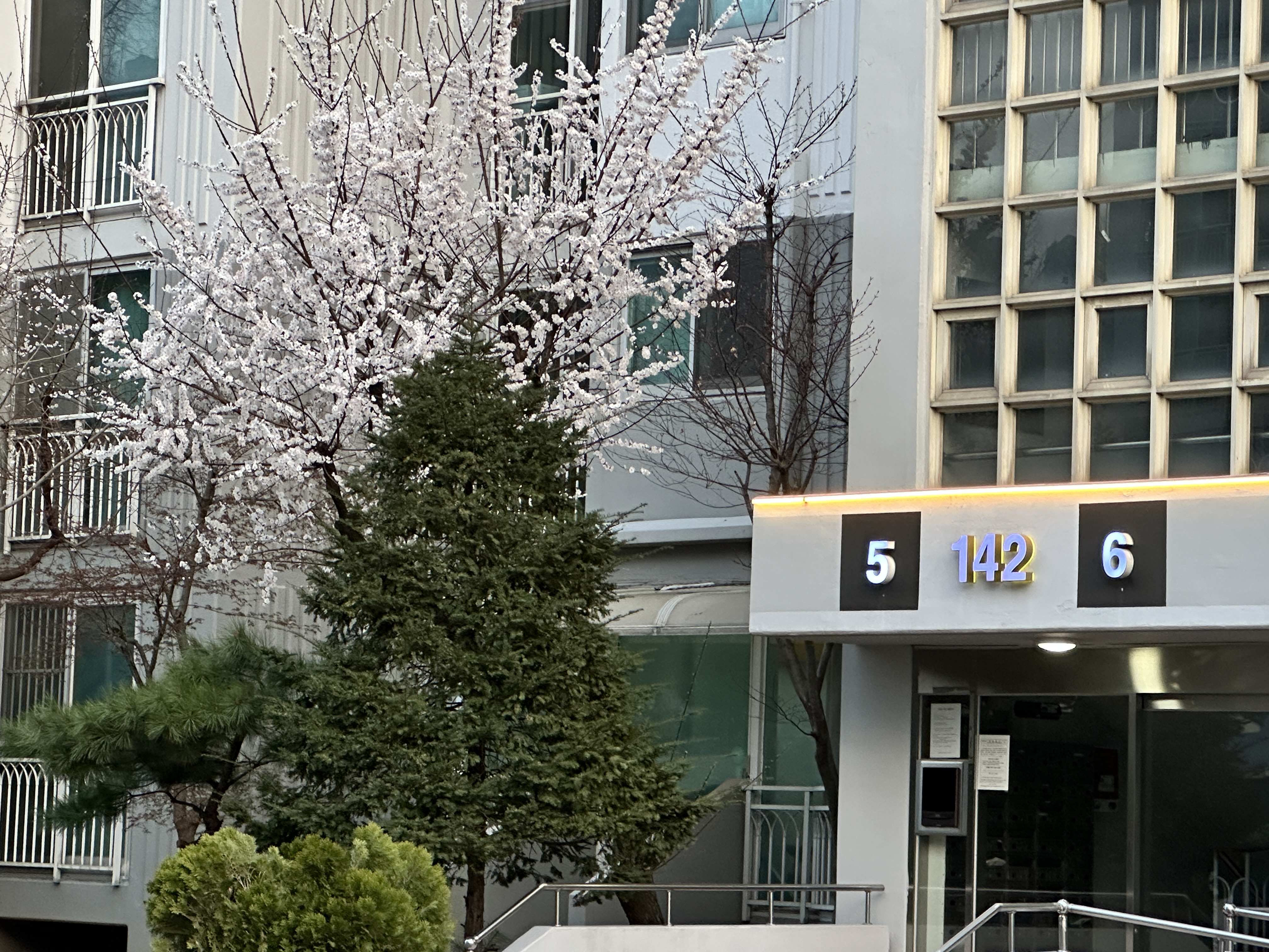송화강반점 이미지