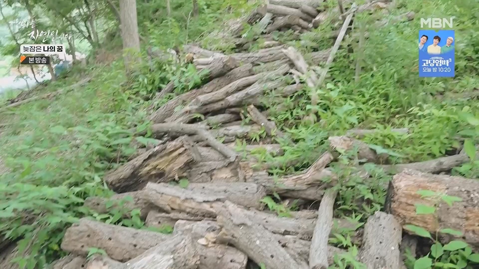 나는 자연인이다.E561.230705p.H264-F1RST.mp4_20230706_213044.498.jpg
