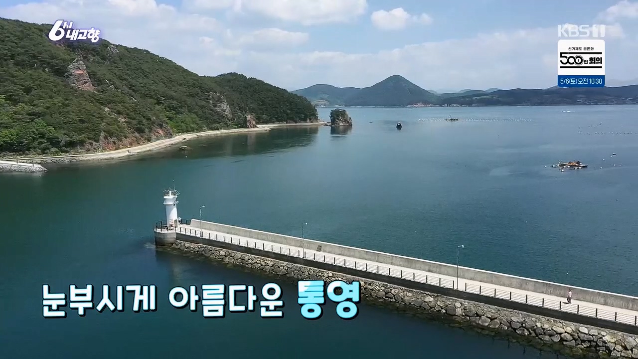 6시 내고향.E7779.230503p.H264-F1RST.mp4_20230505_180951.372.jpg