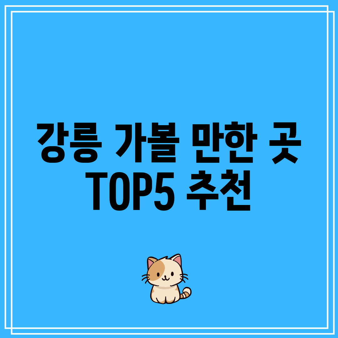 강릉 가볼 만한 곳 TOP5 추천