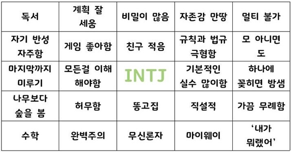 MBTI-INTJ-성격요약