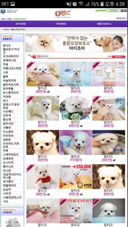 톱 817 강아지 이미지 무료 업데이트 21 시간 전 톱 817 강아지 이미지 무료 업데이트 21 시간 전