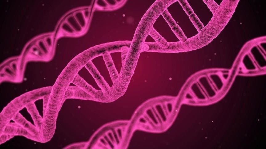 호주 연구팀&#44; 암 위험성 사전 감지 세계 최초 DNA 검진법 개발