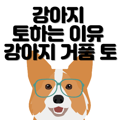 강아지 토하는 이유 강아지 거품 토 강아지 토 색깔