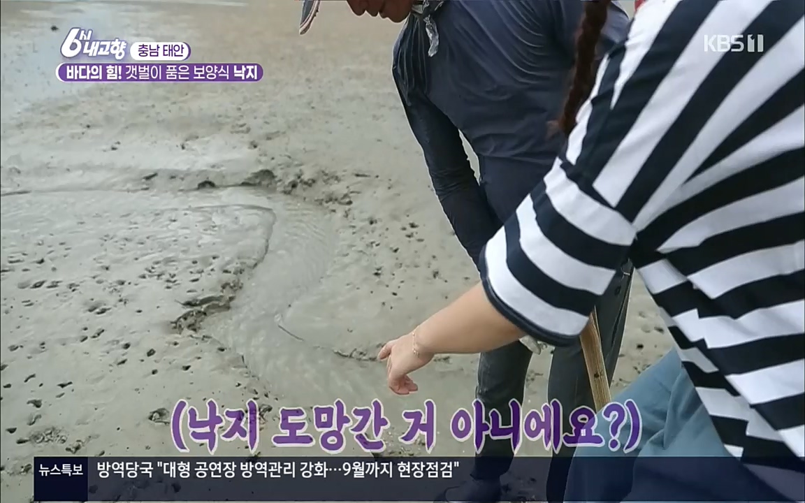 6시 내고향.E7596.220813p.H264-F1RST.mp4_20220814_180541.508.jpg