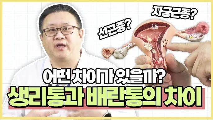 배란통 증상 및 시기 원인_3