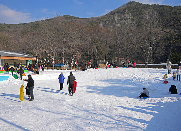 오늘도 사랑스럽개 촬영지, 국민힐링파크에서 겨울 축제 즐기기