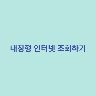 대칭형-인터넷-조회하기