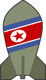  대북제제 전단 살포