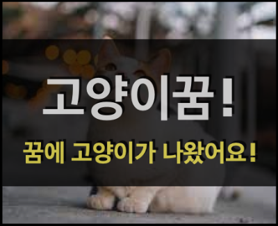  고양이꿈! - 꿈에 고양이가 나왔어요!