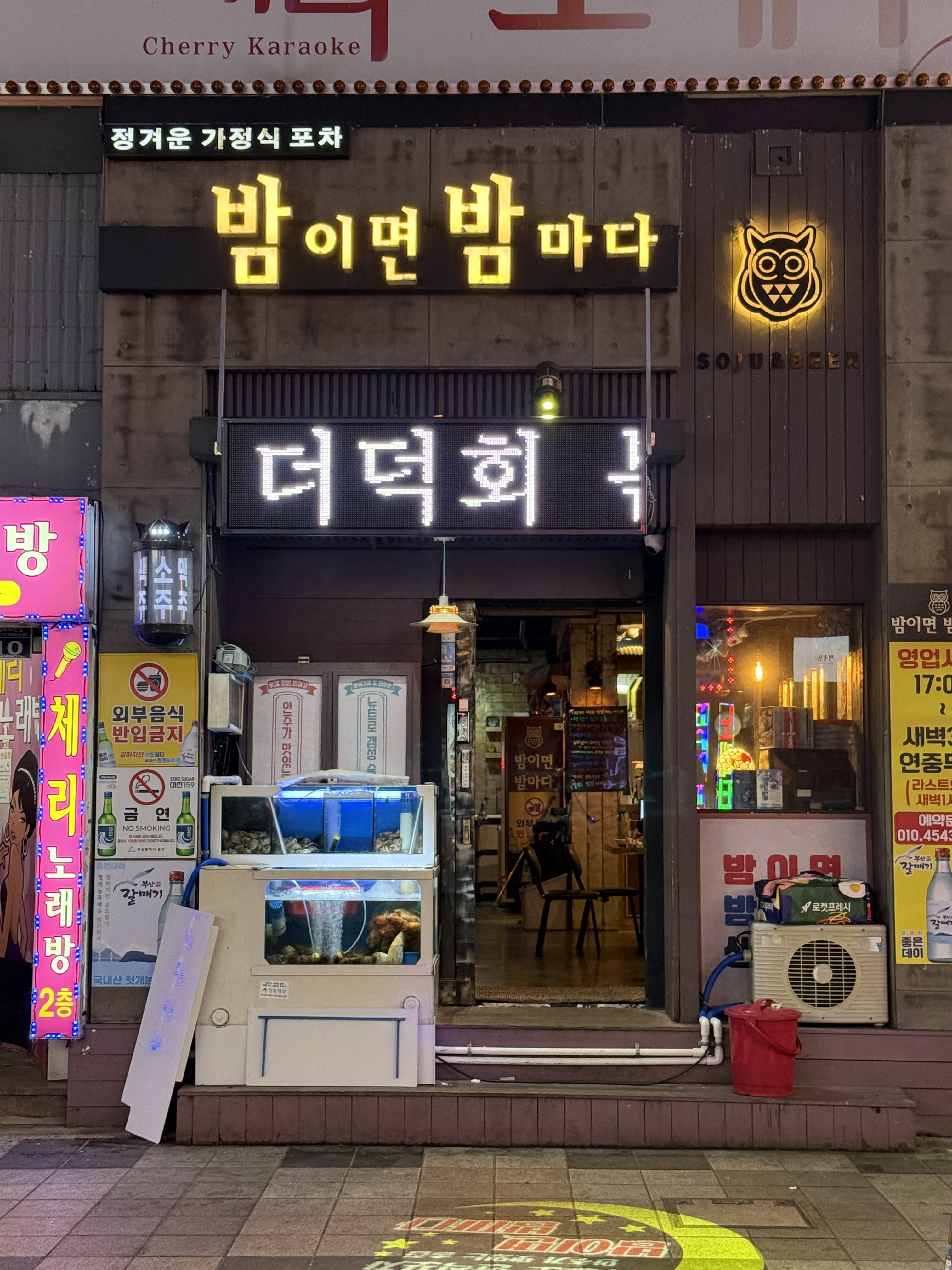 밤이면밤마다 대표 사진