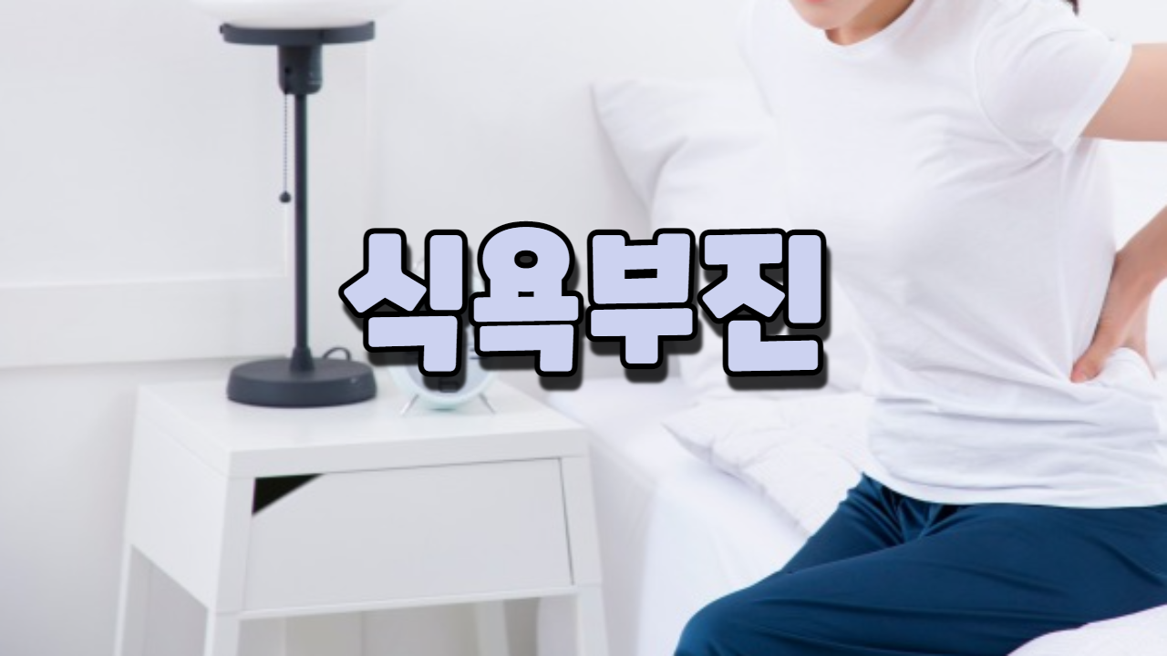  식욕부진 (입맛없기)