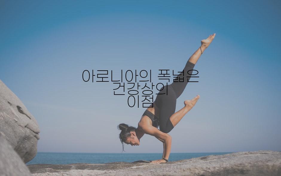 아로니아의 폭넓은 건강상의 이점