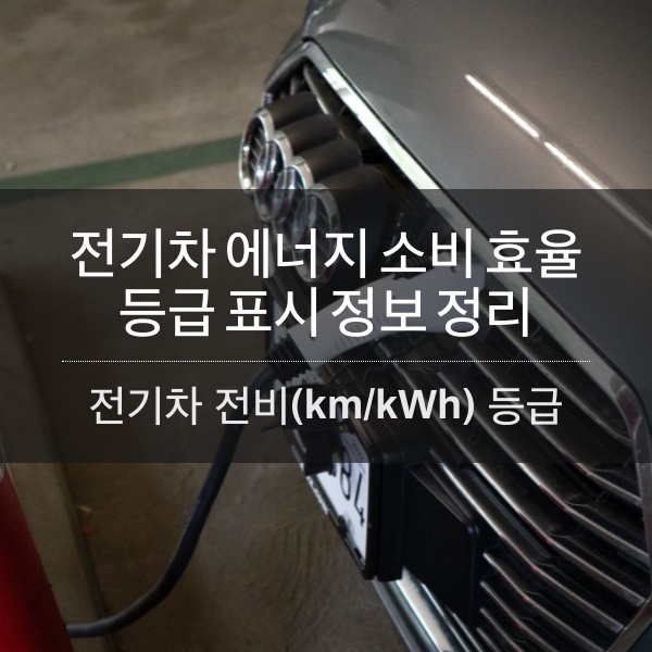 [EV] 전기차 에너지 소비 효율 등급 표시 정보 정리
