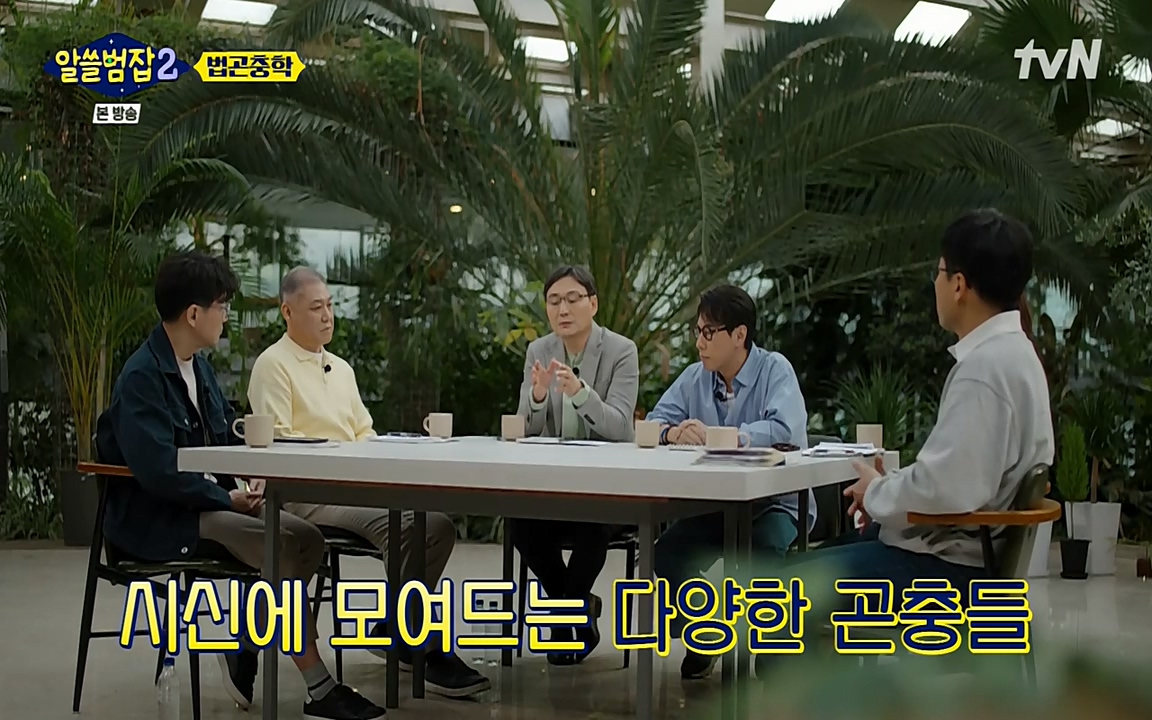 알쓸범잡 2.E15.220425p-NEXT.mp4_20220425_181109.579.jpg