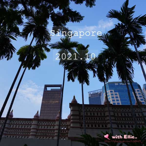 10월 옷차림 싱가포르 10월