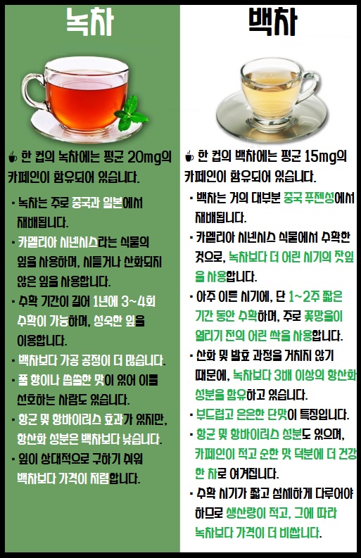 녹차 vs 백차