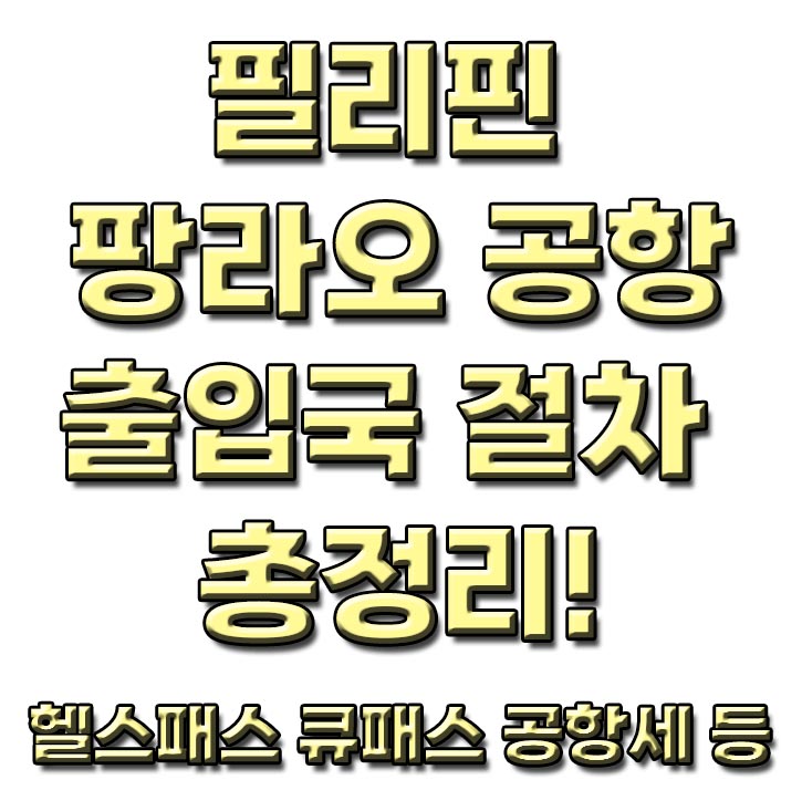  필리핀 보홀 팡라오 공항 입국과 출국 절차 정리 공항세 준비