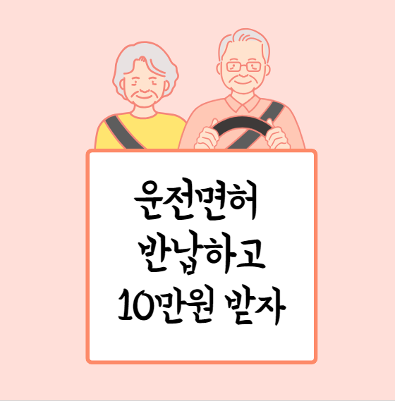  운전면허 자진 반납  10만원권 교통카드 지원사업 대상자, 방법, 서울시