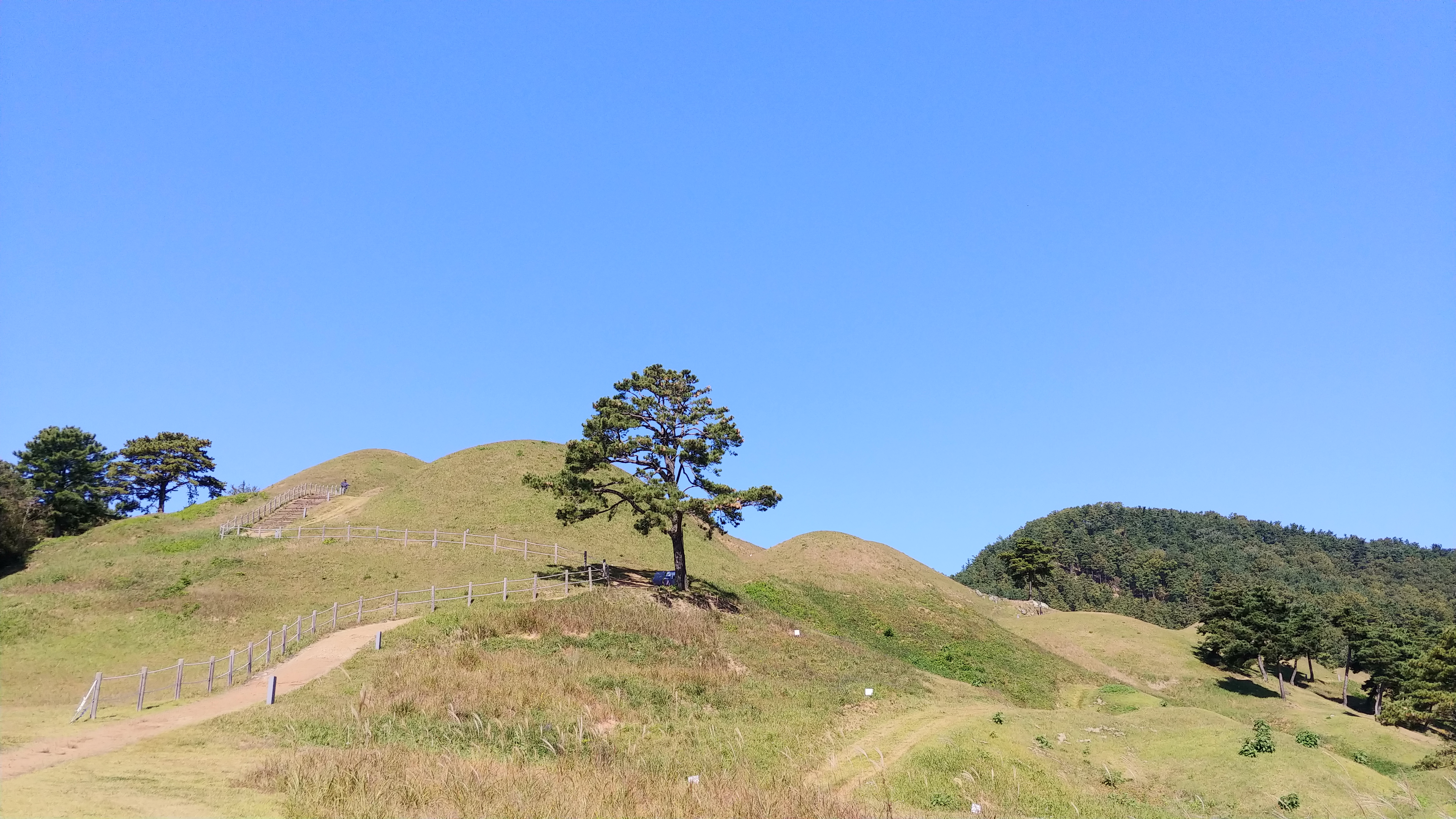 고령 지산동 고분군