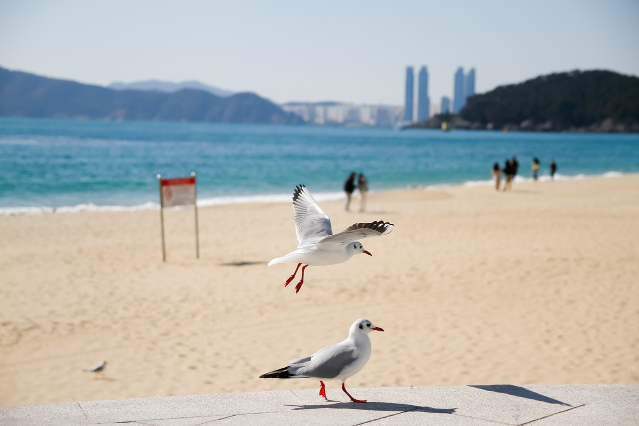 5월 황금연휴 부산 여행 해운대 광안리 해변 감천문화마을 아르떼뮤지엄 정보