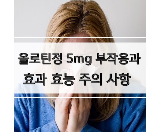 올로틴정 5mg 부작용과 효과 효능 주의 사항