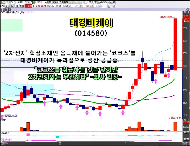 태경 BK일봉 도표