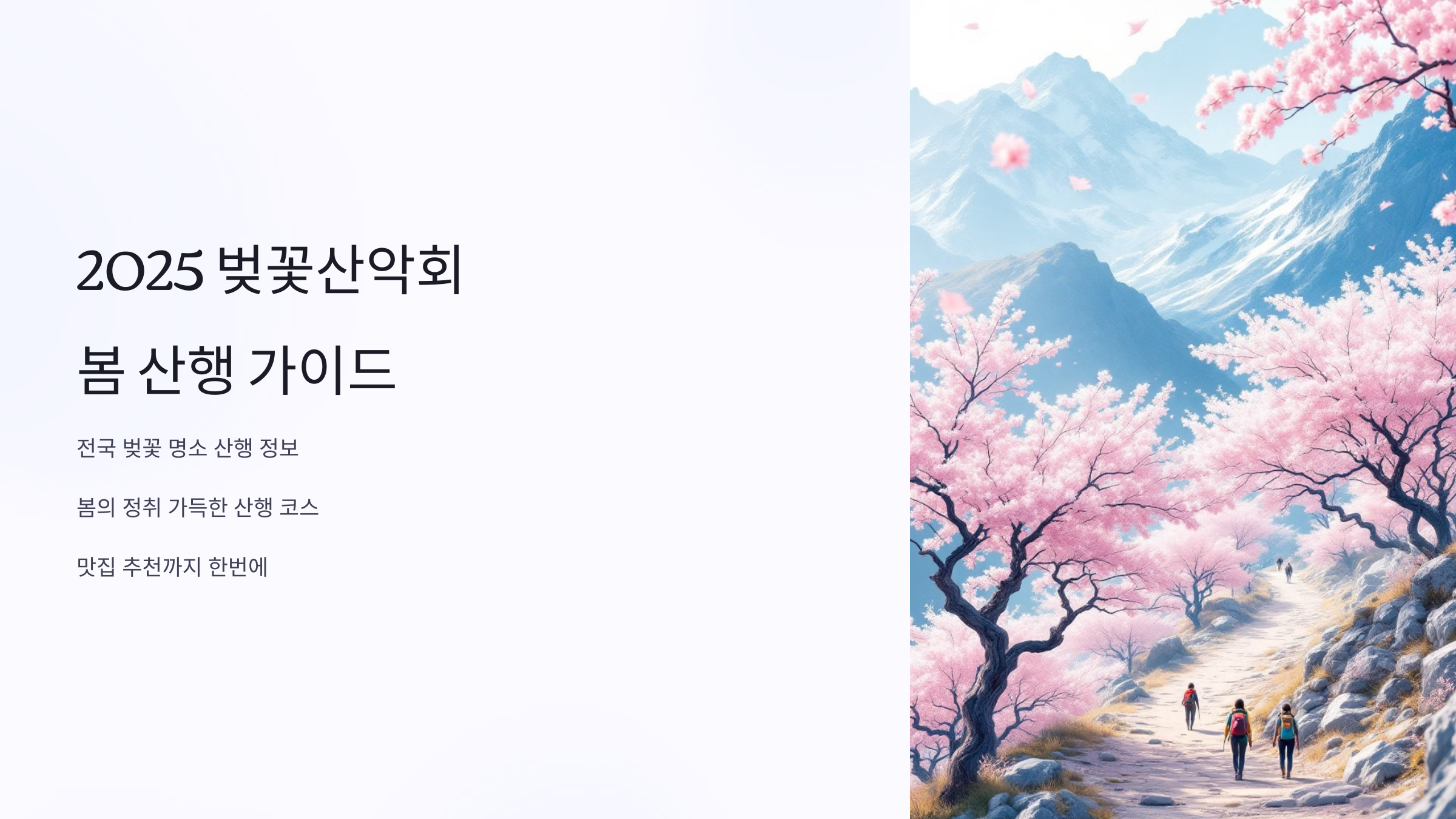 벚꽃산악회와 함께 떠나는 봄 산행 추천