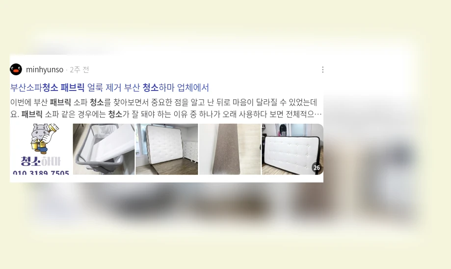 패브릭 청소_2_subsection