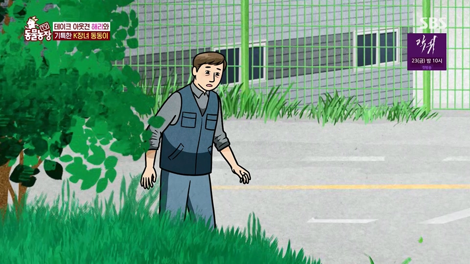 TV 동물농장.E1124.230611p.H264-F1RST.mp4_20230611_173535.588.jpg