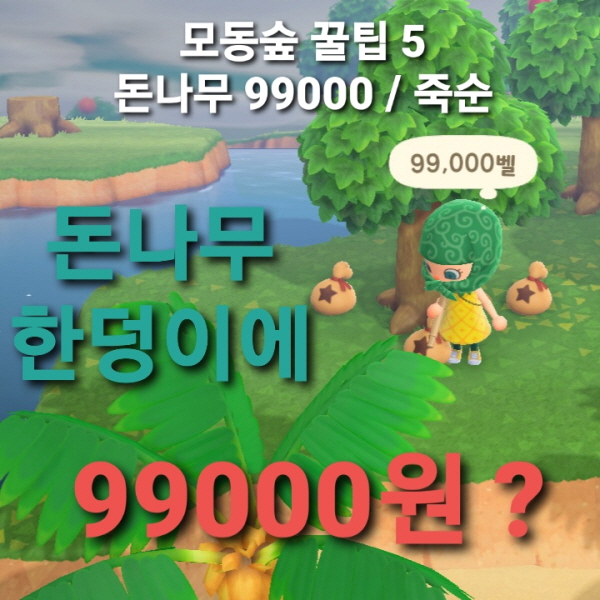 모동숲 돈벌기 공략5(모동숲 돈나무,모동숲 죽순,모동숲 대나무)