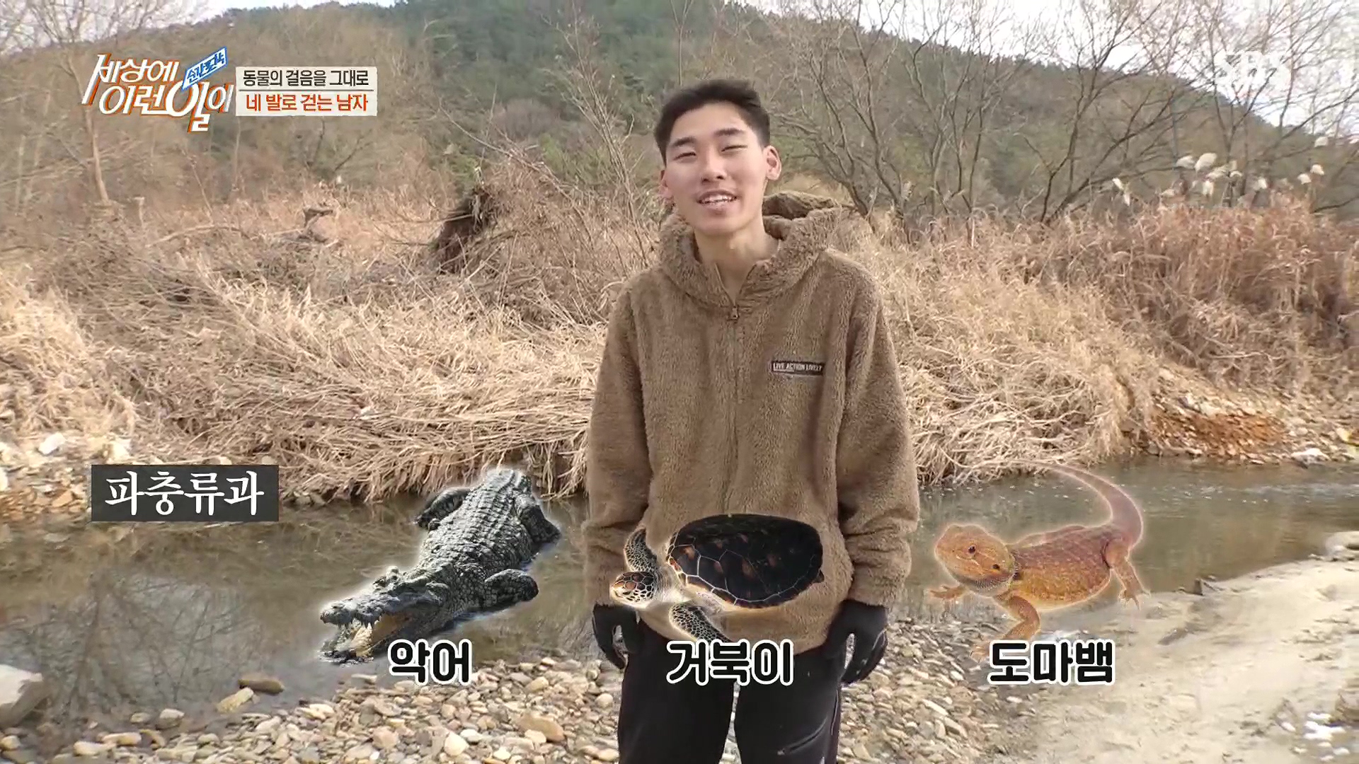 순간포착 세상에 이런일이.E1213.230110p.H264-F1RST.mp4_20230111_194923.616.jpg