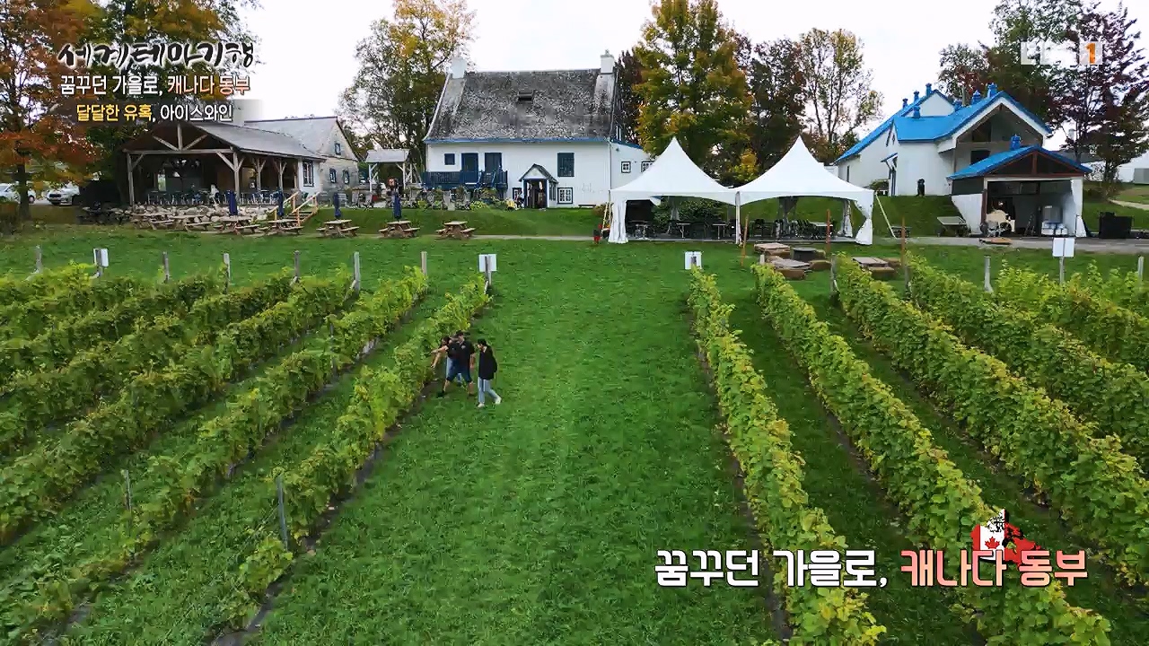 세상의모든기행꿈꾸던 가을로 캐나다 동부-다시 올 이유, 단풍국.mp4_20231127_205045.279.jpg