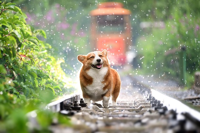 지역별 적설량