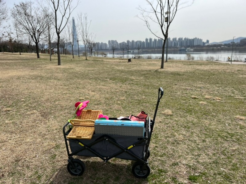 써니 텐트 피크닉 니스