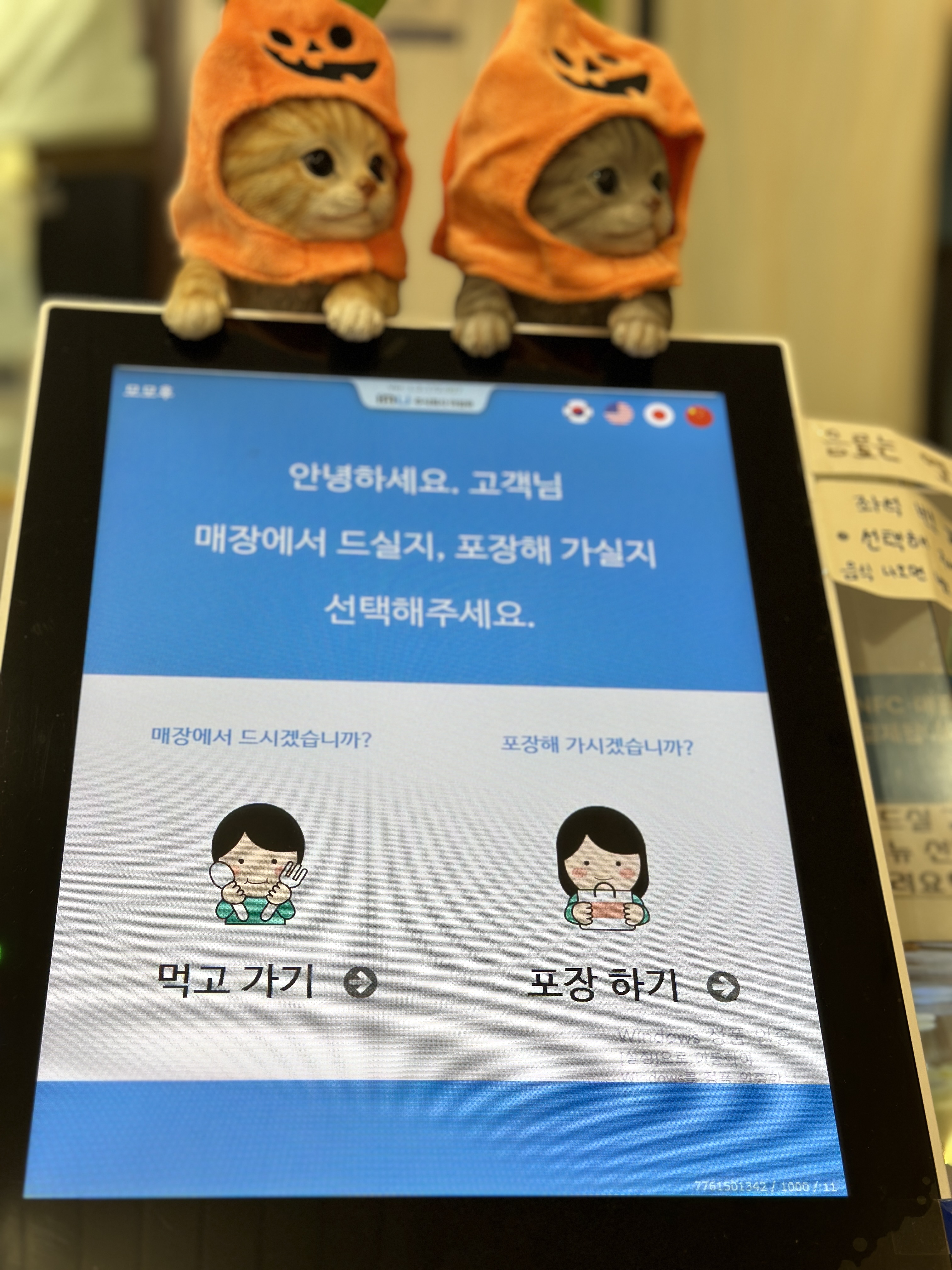 모모후 이미지