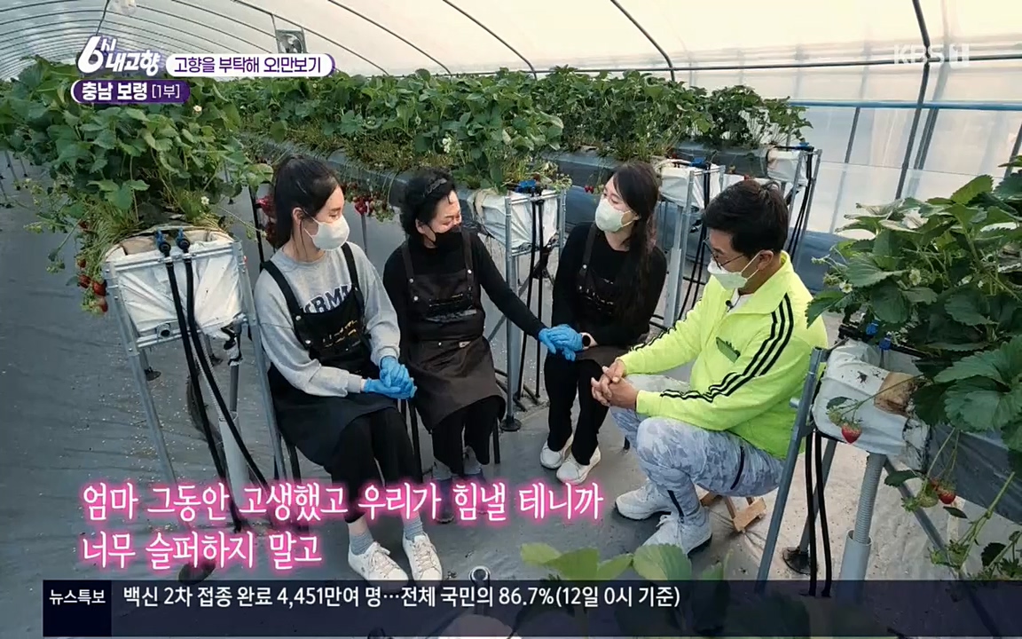6시 내고향.E7509.220413p.H264-F1RST.mp4_20220418_194958.791.jpg