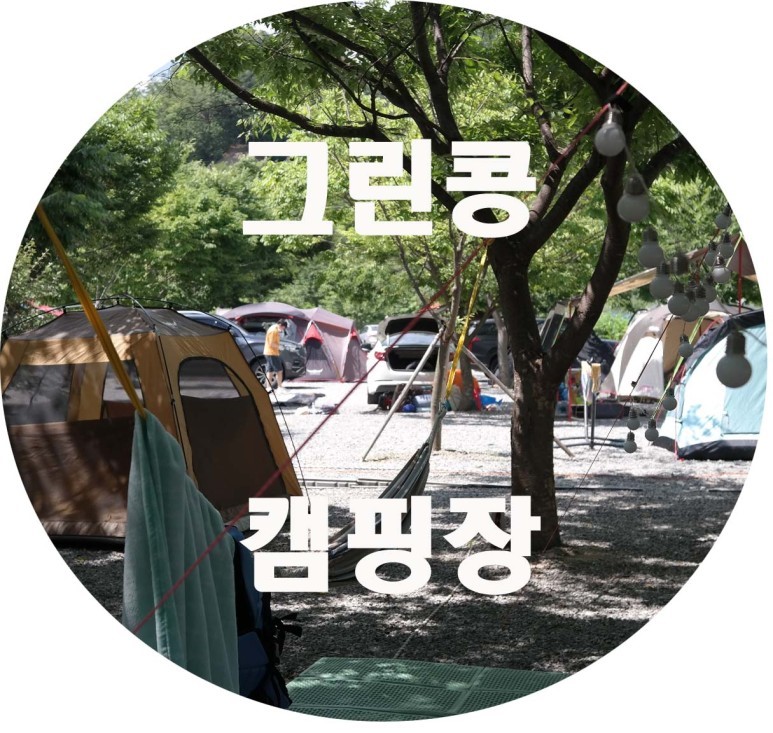  가평 그린콩캠핑장 후기 & 소개 (나무 그늘 많은 캠핑장)