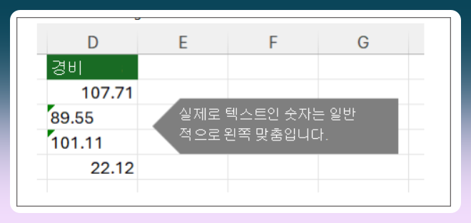 텍스트인 숫자의 특징
