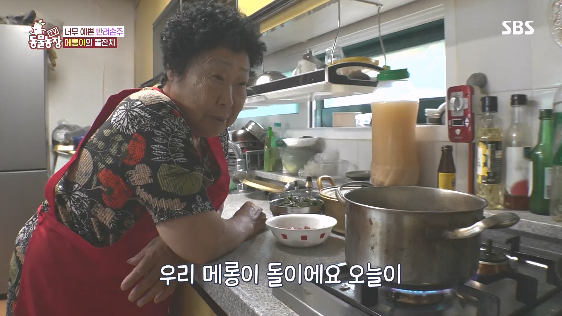 TV 동물농장.E1185.240818p.H264-F1RST.mp4_20240818_161600.325.jpg
