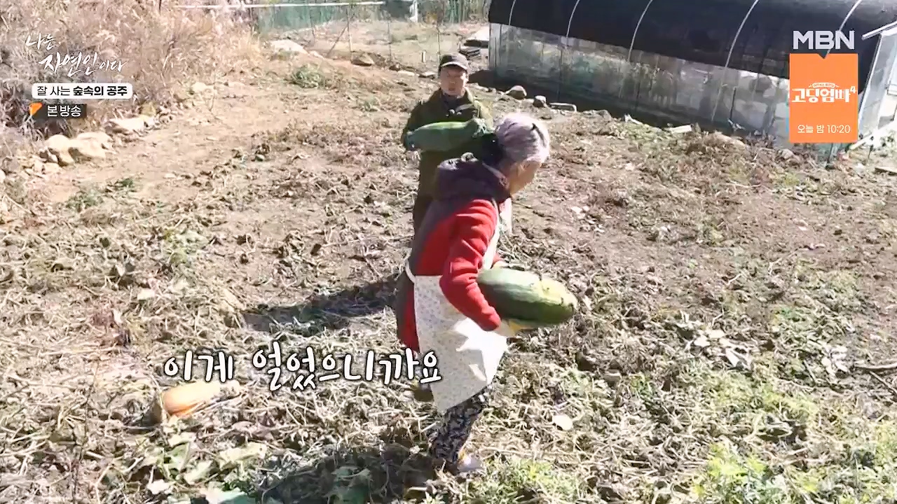 나는 자연인이다.E582.231130p-NEXT.mp4_20231130_200815.519.jpg